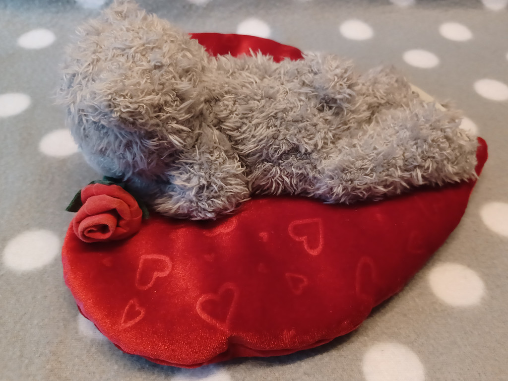 Me to You Tatty Teddy Plüschtier Kuscheltier grau Herz Rose Geschenk