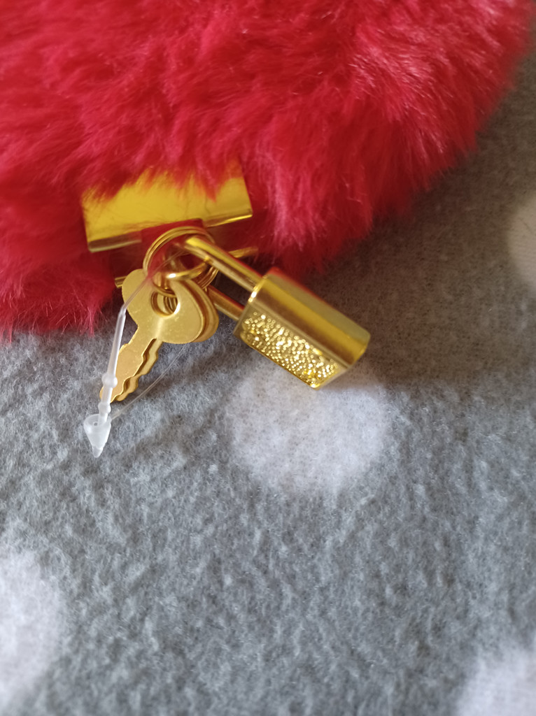 Flauschiges Herz-Tagebuch in Rot mit Schloss – Kuscheliges Geheimnisbuch