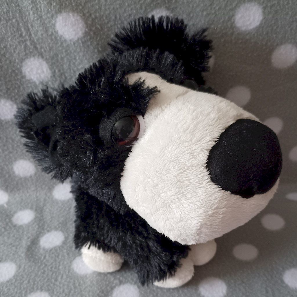 Stofftier Hund Border Collie Plueschtier Big Headz TCC Global 19cm