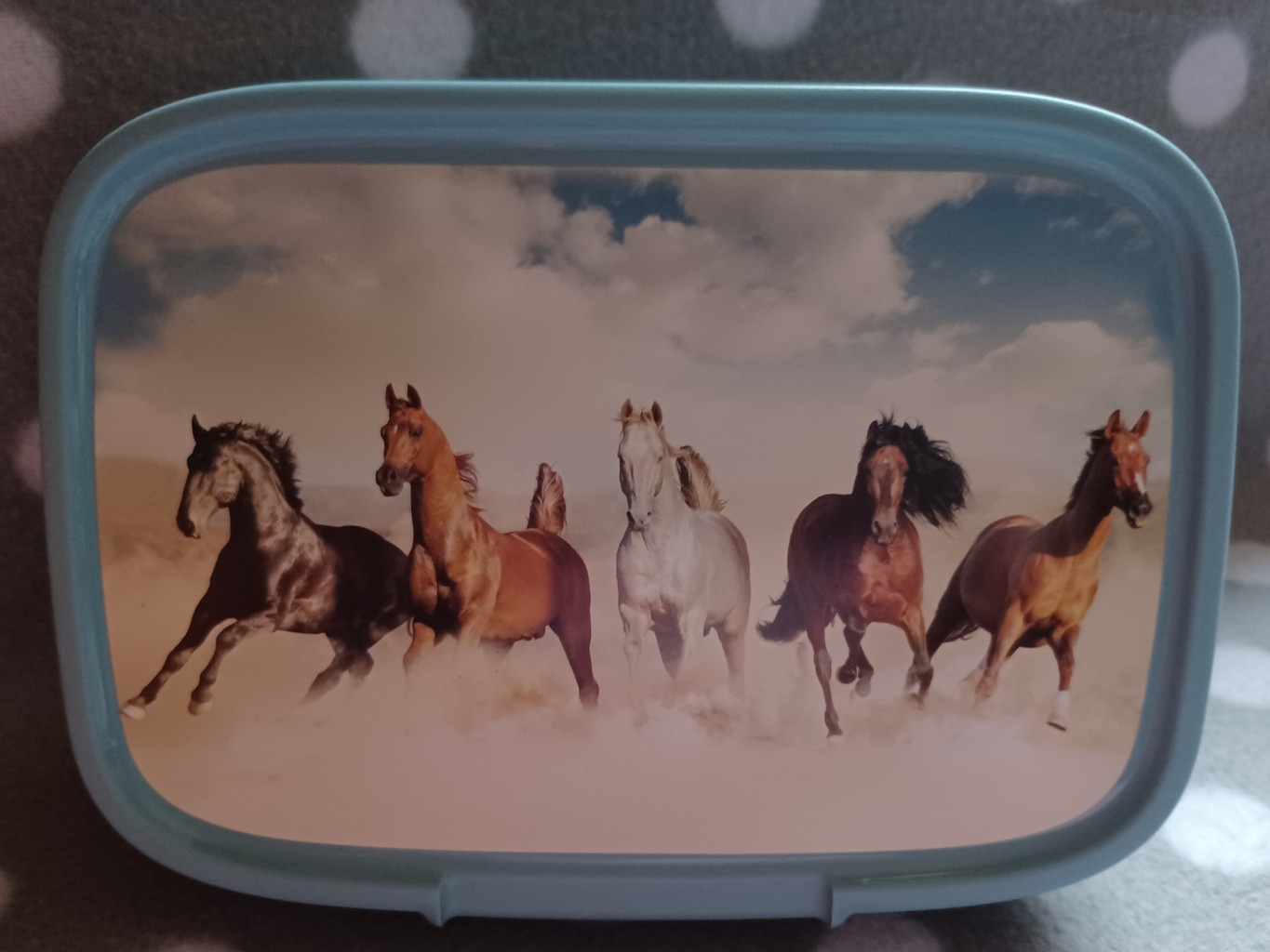 Brotdose Snackbox Pferde Blau 1,3 Liter BPA frei #17977