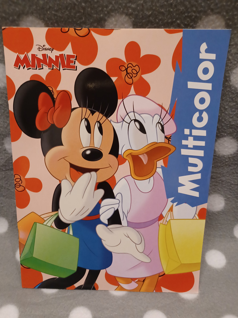 Disney Malbuch Malheft Ausmalbuch Multicolor Minnie & Daisy