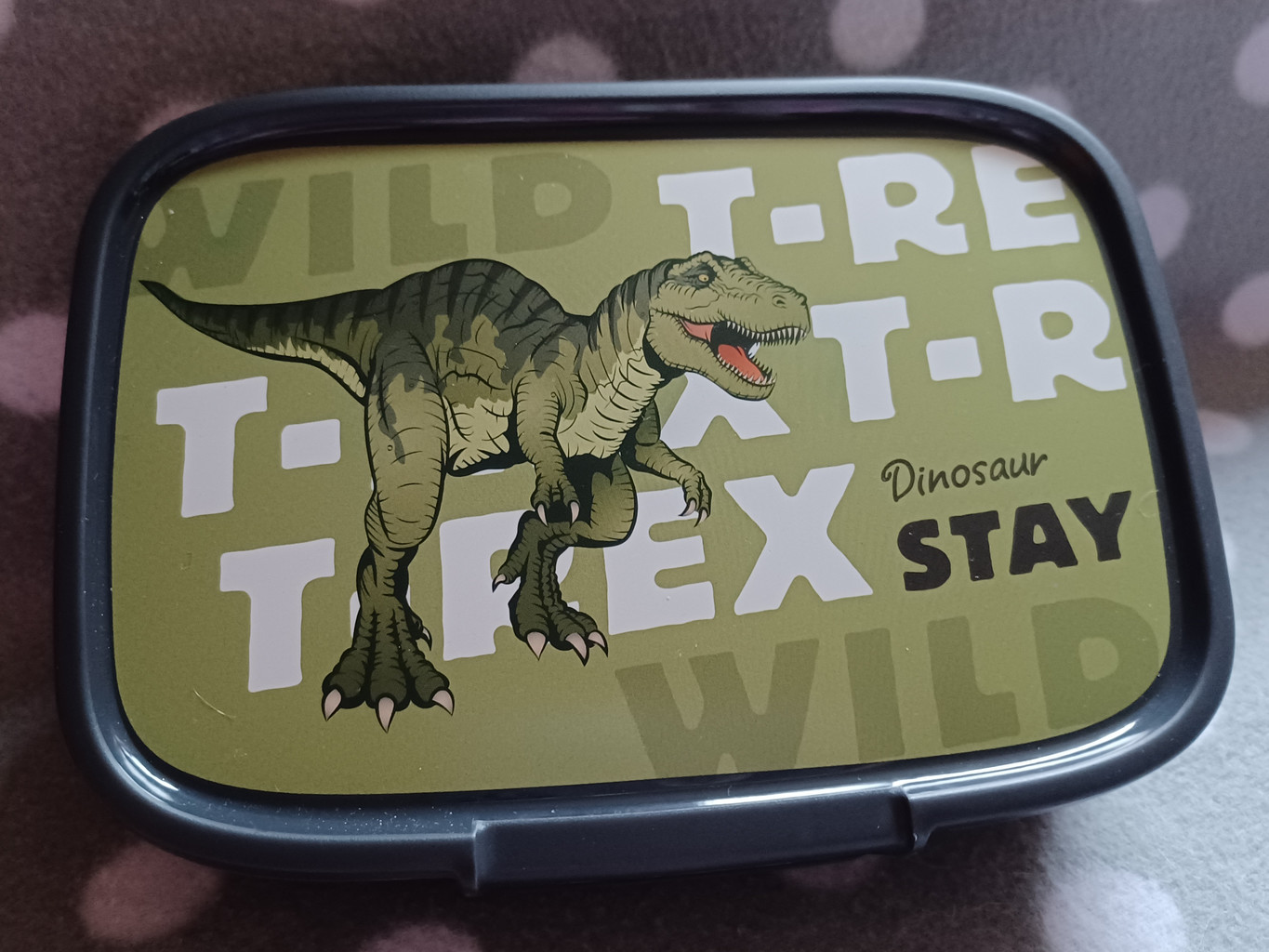 Brotdose Snackbox Dinosaurier Grau 1,3 Liter BPA frei #17978