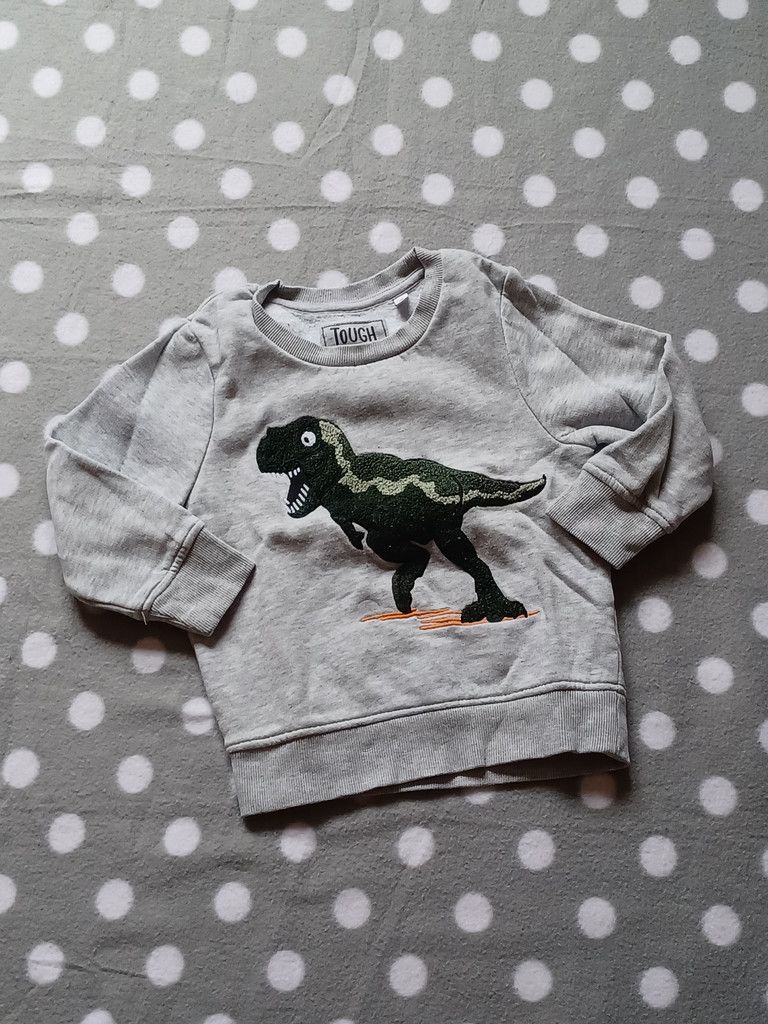 C&A Pullover Jungen Grau Dinosaurier Gr. 98 #17520