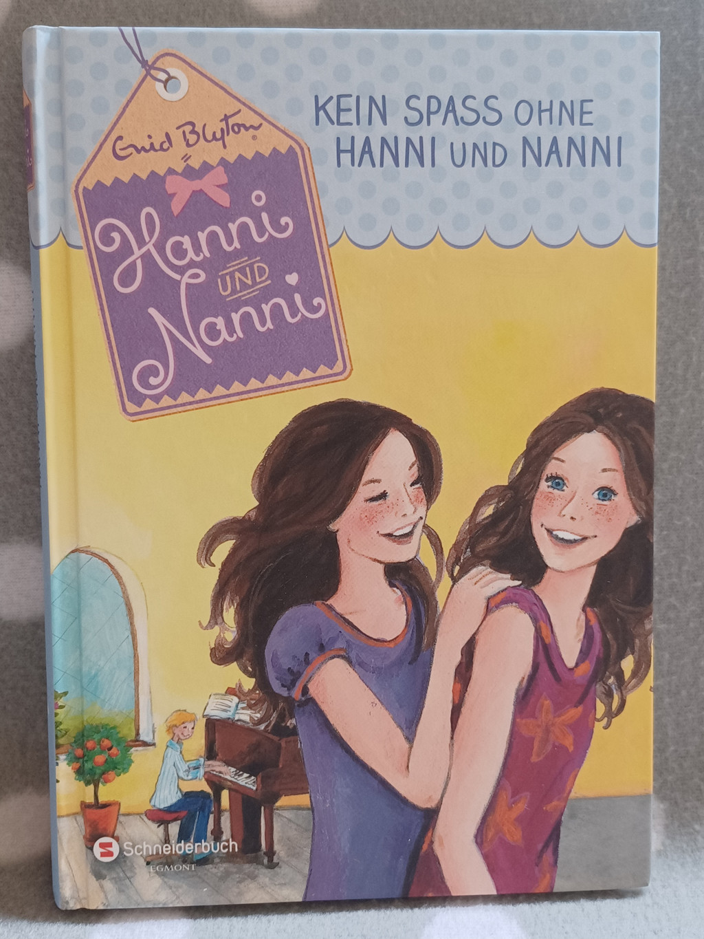Buch: Hanni und Nanni (Band 4) Kein Spaß ohne Hanni und Nanni Buch: Hanni und Nanni (Band 4) Kein Spaß ohne Hanni und Nanni