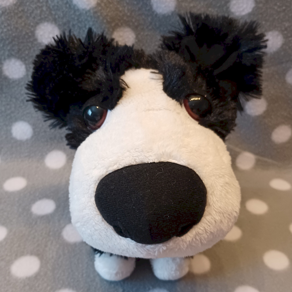 Stofftier Hund Border Collie Plueschtier Big Headz TCC Global 19cm