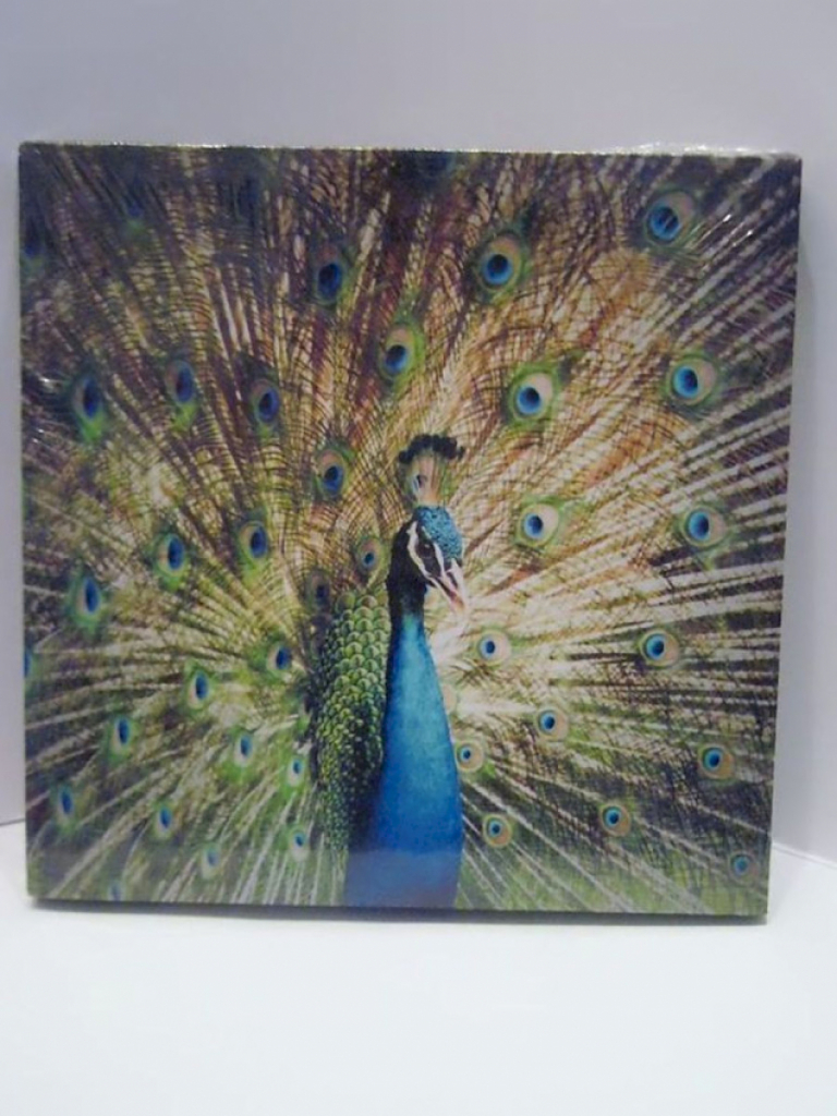 Wandbild Poster Druck Pfau 18x18cm Wandbild Poster Druck Pfau 18x18cm