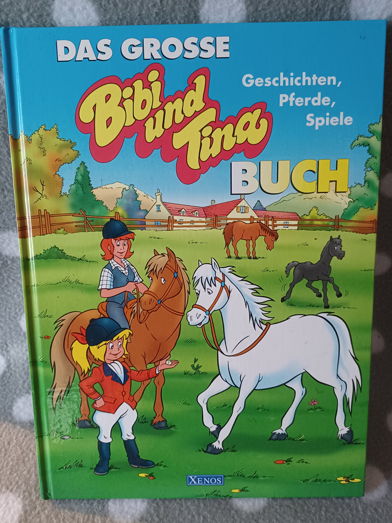 Das Große Bibi und Tina Buch Geschichten Pferde Spiele