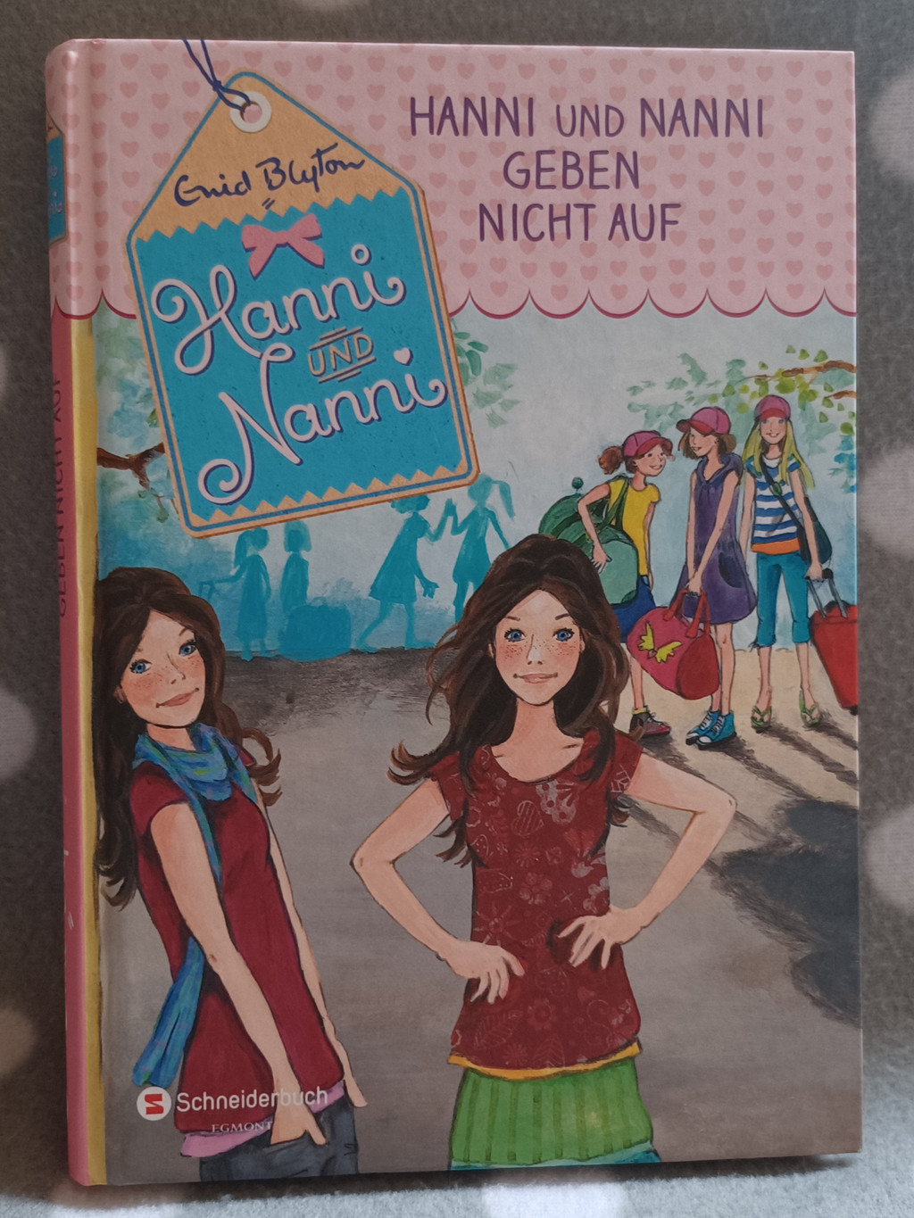 Buch: Hanni und Nanni (Band 5) Hanni und Nanni geben nicht auf Buch: Hanni und Nanni (Band 5) Hanni und Nanni geben nicht auf